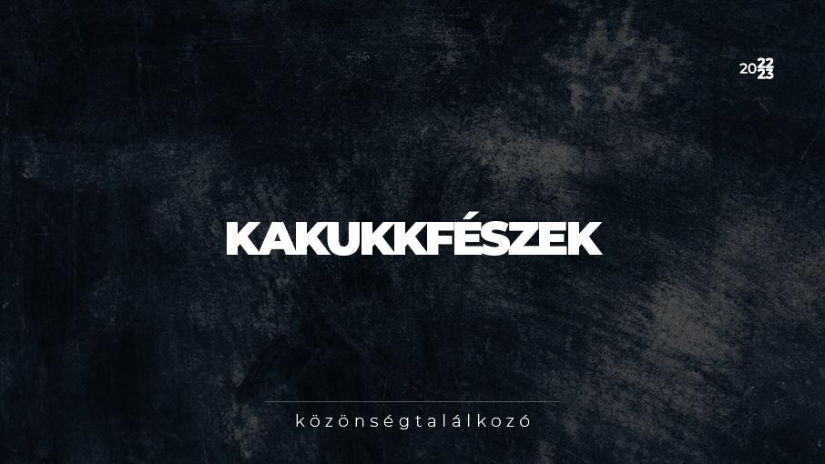 Kakukkfészek - közönségtalálkozó hír képe Kakukkfészek - közönségtalálkozó hír képe