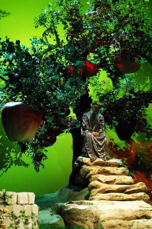 Ágacska 3 Ágacska 3