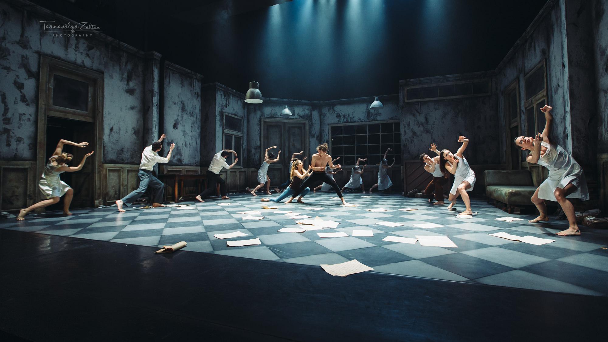 Credo fotógaléria képe 4 Credo fotógaléria képe 4