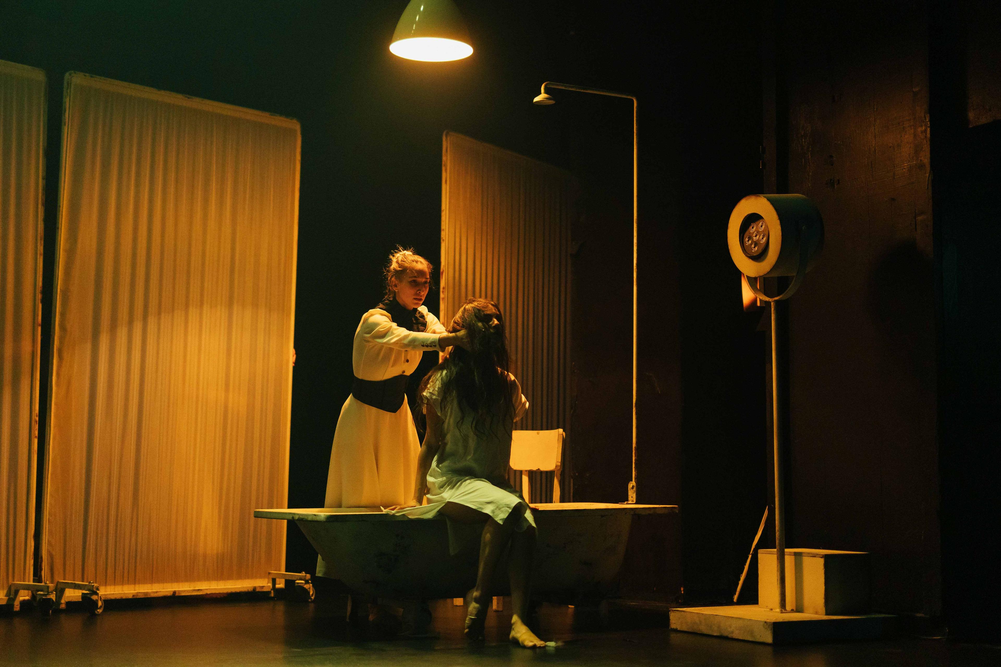 Fekete hattyú fotógaléria képe 4 Fekete hattyú fotógaléria képe 4