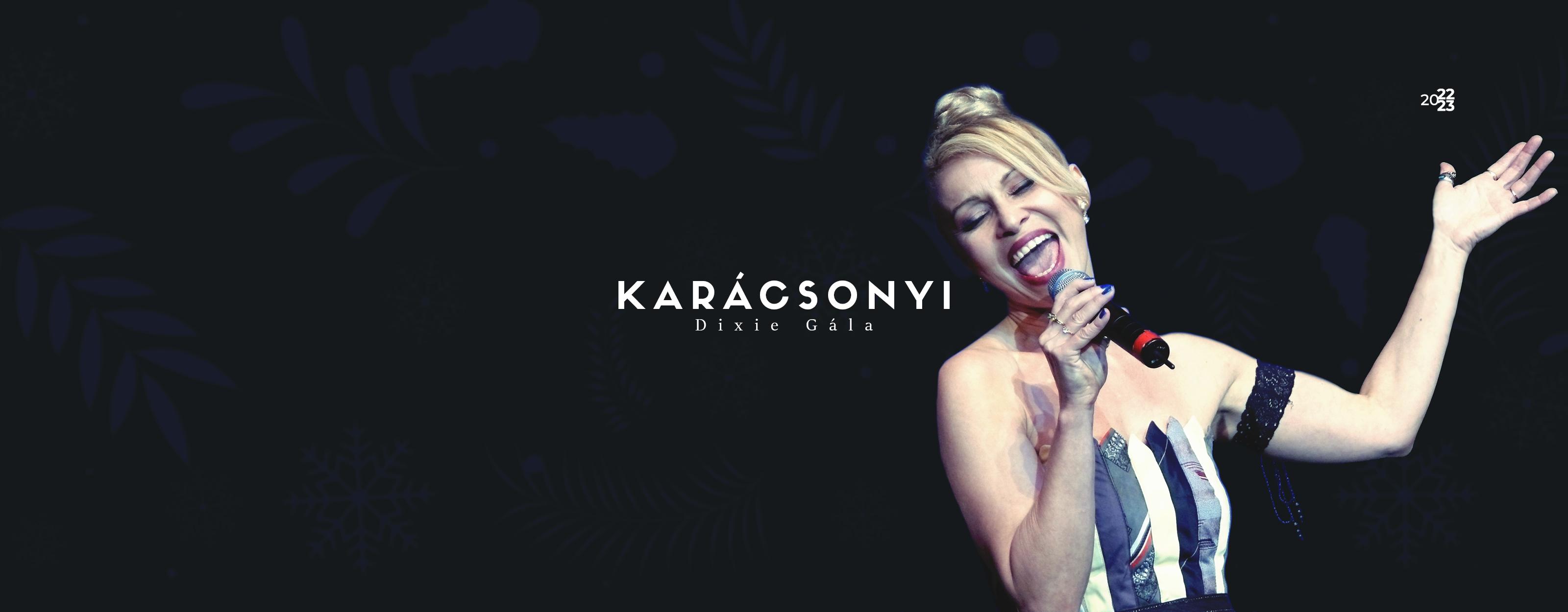 Karácsonyi Dixie Gála